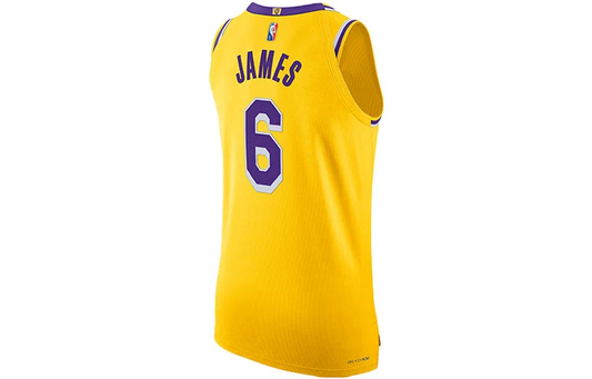 Nike x NBA LeBron James #6 Los Angeles Lakers Jersey DB3317-730