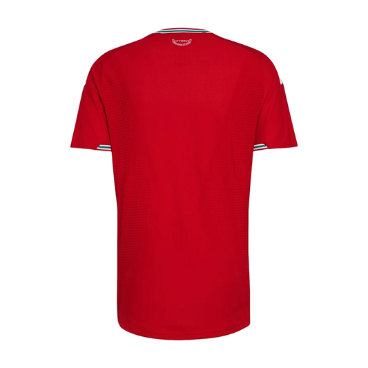 adidas Wales 26 Home Authentic Jersey, Better Scarlet, Asia Sizing KC2959