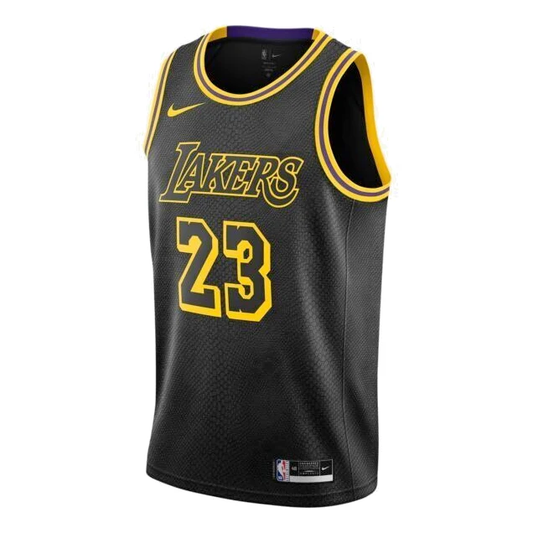Nike NBA LeBron James #23 Los Angeles Lakers 2021–22 Jersey - DJ1433-011