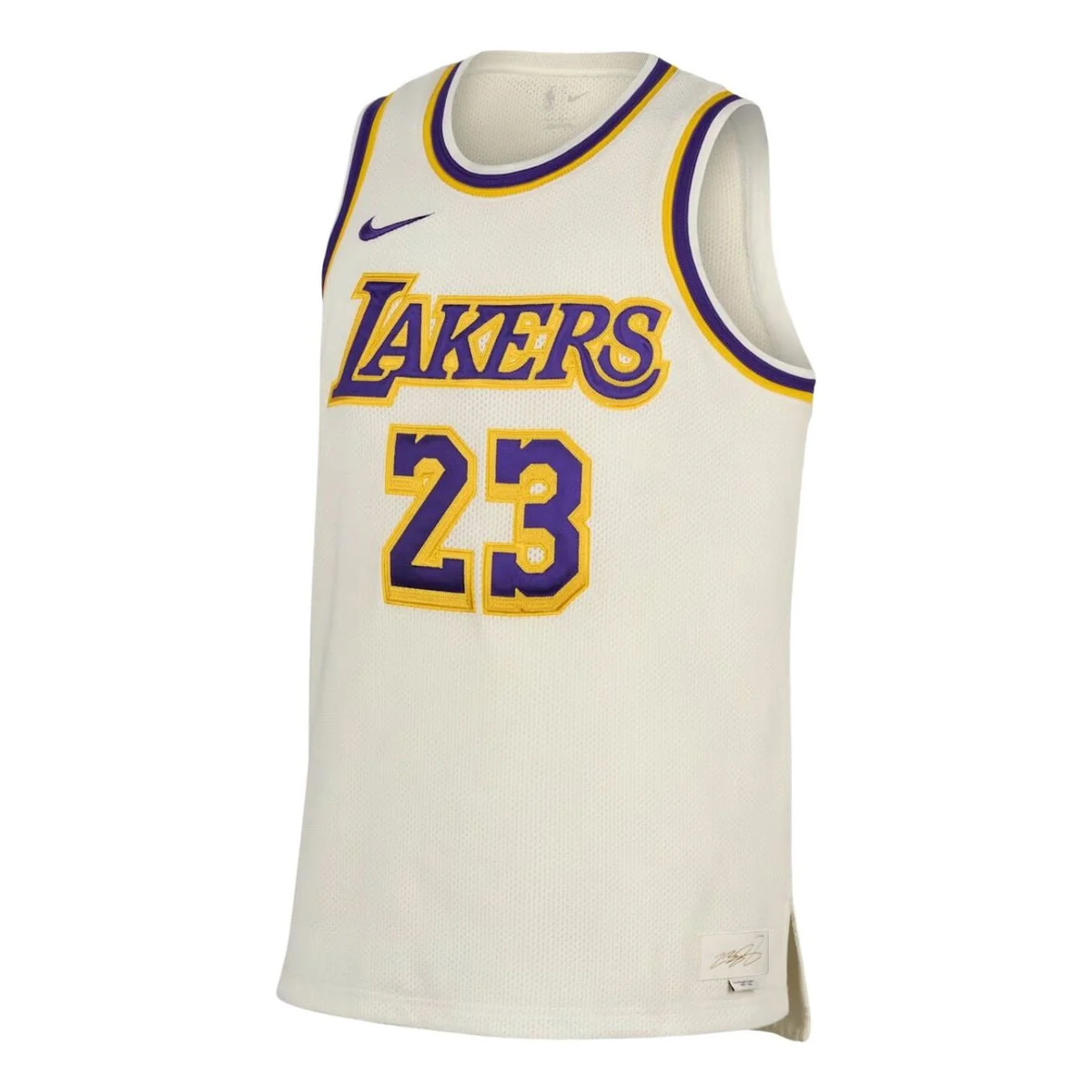 Nike NBA LeBron James [TEAM] [EDITION] Dri-FIT Swingman Jersey – IF0287-133