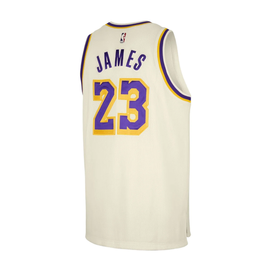 Nike NBA LeBron James [TEAM] [EDITION] Dri-FIT Swingman Jersey – IF0287-133