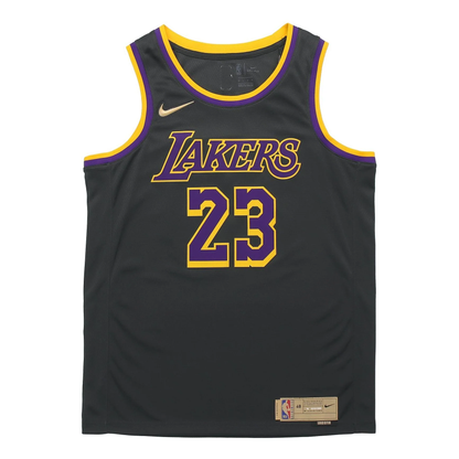 Nike NBA LeBron James #23 Los Angeles Lakers 2020–21 Fan Edition Swingman Jersey - CN9929-013