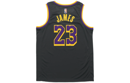 Nike NBA LeBron James #23 Los Angeles Lakers 2020–21 Fan Edition Swingman Jersey - CN9929-013