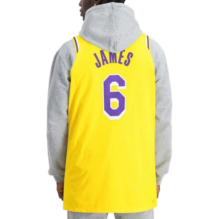 Nike x NBA LeBron James #6 Los Angeles Lakers Jersey DB3317-730