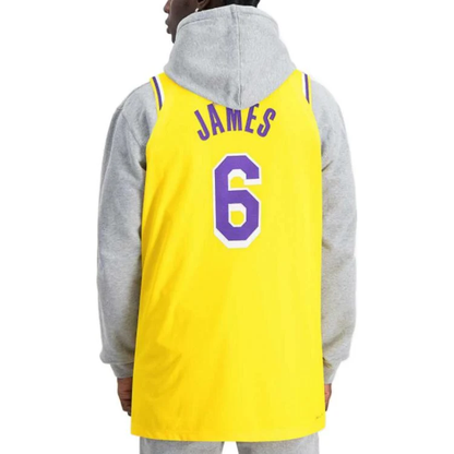 Nike x NBA LeBron James #6 Los Angeles Lakers Jersey DB3317-730